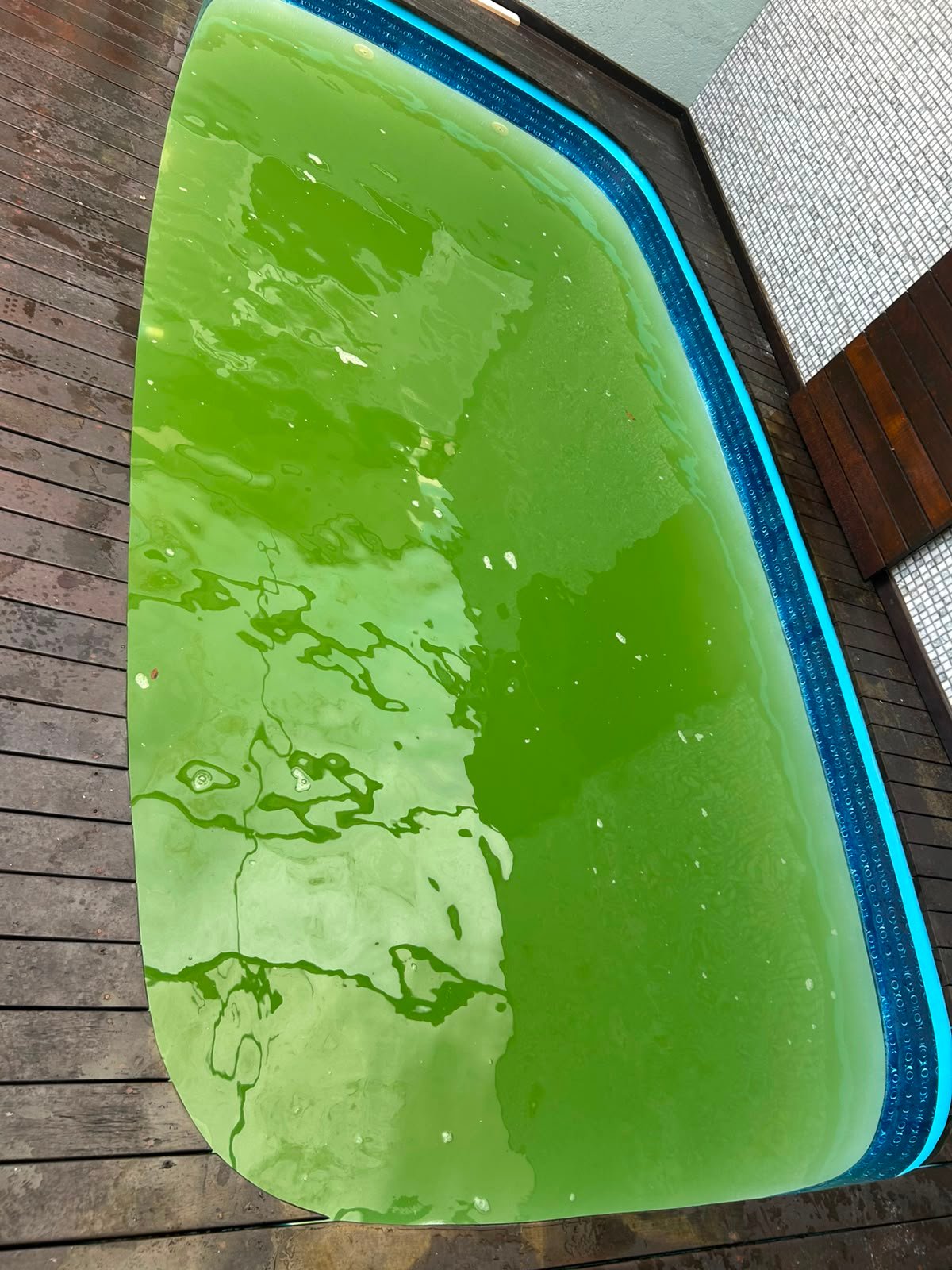 Piscina com água verde e suja antes da limpeza da Piscinas Ribeiro
